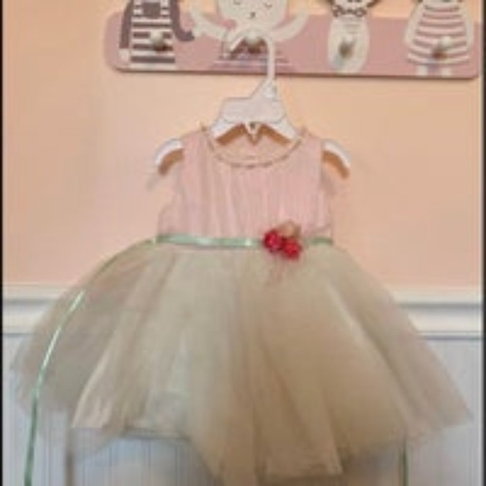 Flower Girl Dress - Picture 1 of 1